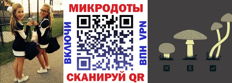 Галлюциногенные грибы Psilocybe  Северодвинск 